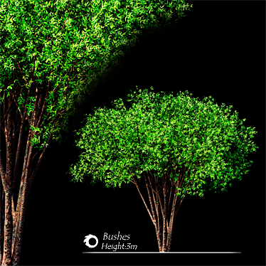 Corona Tree Render - High-Quality 3D Model 3D model image 1 