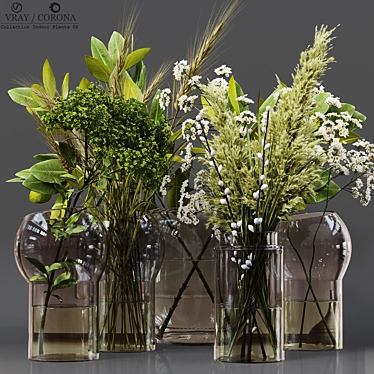 Collaction Indoor Plant Set 3D model image 1 