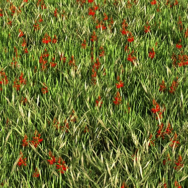 Versatile Grass Collection for Stunning Landscapes 3D model image 1 