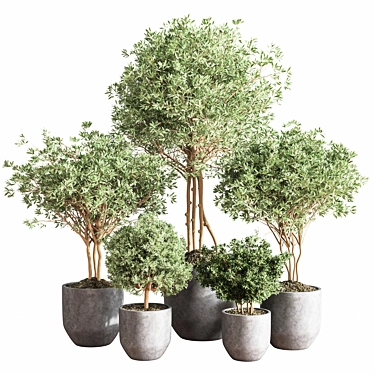 Cascading Greenery Indoor Plant Set 3D model image 1 