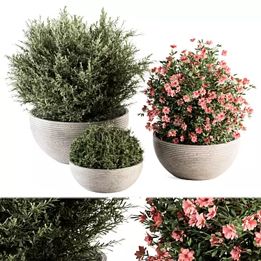 Lush Greenery Bundle - Gray Pot 3D model image 1 