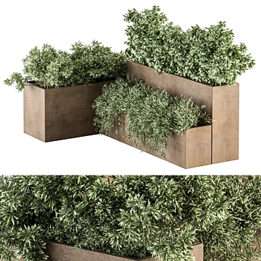 Concrete Plant Box Set 3D model image 1 