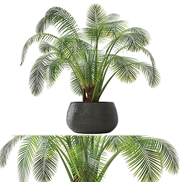 Indoor Oasis Collection - Set 0094 3D model image 1 