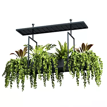 Hanging Plant Set - 05 Varieties 3D model image 1 