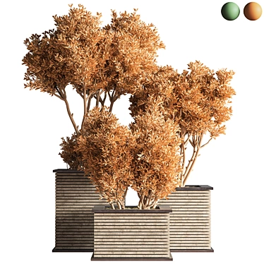 Outdoor Oasis Tree - Lifelike outdoor plant for a refreshing ambiance. 3D model image 1 