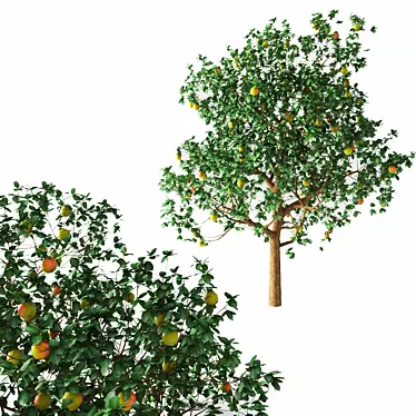 Majestic Apple Tree - 3.5m Tall 3D model image 1 