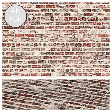  Painted Brick Textures 3D model image 1 