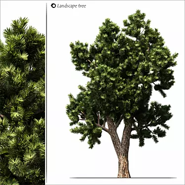 Nature's Haven: Exquisite Landscape Tree 3D model image 1 