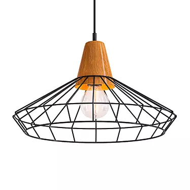 Nordic Hanging Cage Lamp 3D model image 1 