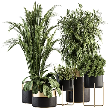 Elegant Greenery: Black & Gold Indoor Plant Set 3D model image 1 