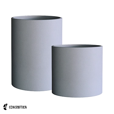 Classic Concrete Cylinder Planters 3D model image 1 