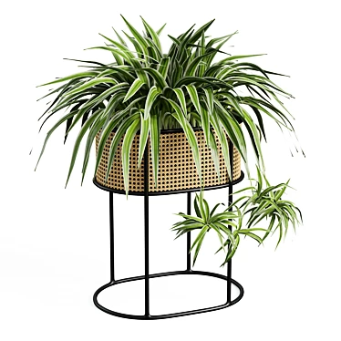 Vintage-Inspired Woven Caning Planter 3D model image 1 