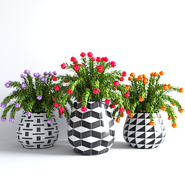 Colorful Flower Pot Collection 3D model image 1 
