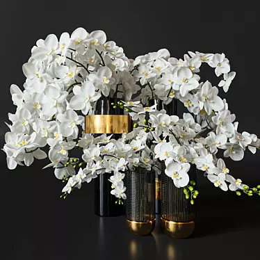 Elegant Orchid Flower & Vase Set 3D model image 1 