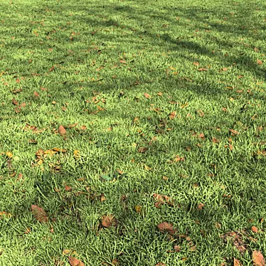 Autumn Leaves Lawn - Scattered Foliage Model 3D model image 1 