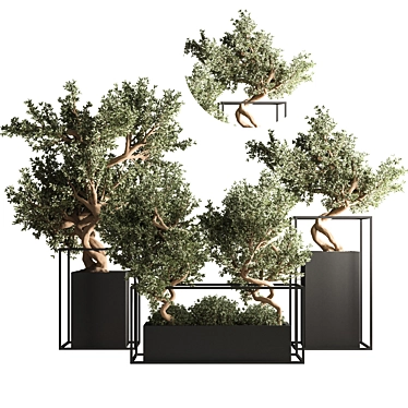 Indoor Bonsai Set: Natural Elegance 3D model image 1 
