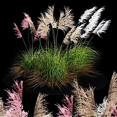 Ravenna Grass: Stunning 3D Model 3D model image 1 