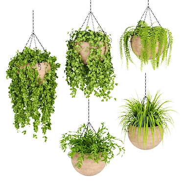 Indoor Hanging Plant Collection: Vol. 41 3D model image 1 