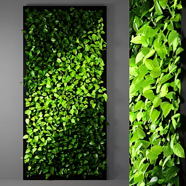 Serenity Vertgarden 12 | 2500x1200mm 3D model image 1 