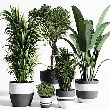 Dirty Concrete Pot Collection: 138 Indoor/Outdoor Plants 3D model image 1 