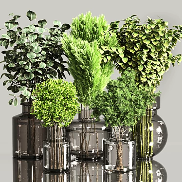 Indoor Plant Bouquet Collection 3D model image 1 