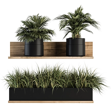 293 Indoor Plant Set 3D model image 1 