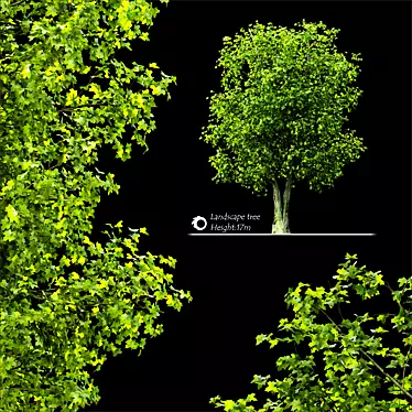 2014 Landscape Tree | 17m Height 3D model image 1 