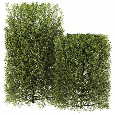 Premium Plant Collection 3D model image 1 