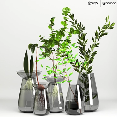 Indoor Plant Bouquet Set 3D model image 1 