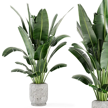  Rusty Concrete Pot Indoor Plants - Set 285 3D model image 1 