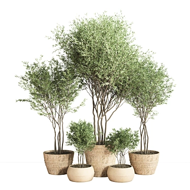 Greenery Haven: 25-Piece Indoor Plant Set 3D model image 1 