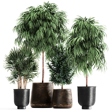 Tropical Plant Collection: Exotic and Stylish 3D model image 1 