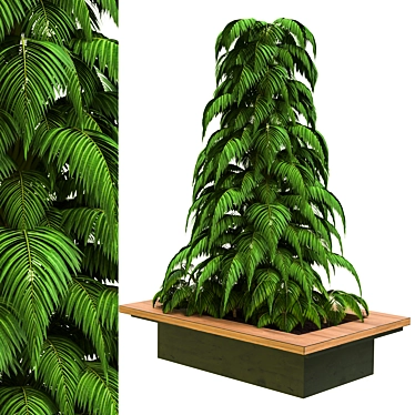 2015 Outdoor Plant Vol 17: VRAY Render 3D model image 1 