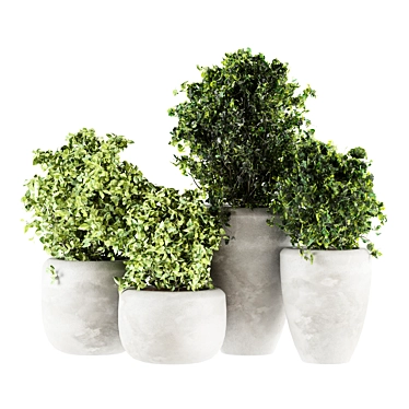 Concrete Potted Indoor Plants 3D model image 1 