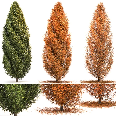 Elegant Cypress Tree Trio 3D model image 1 