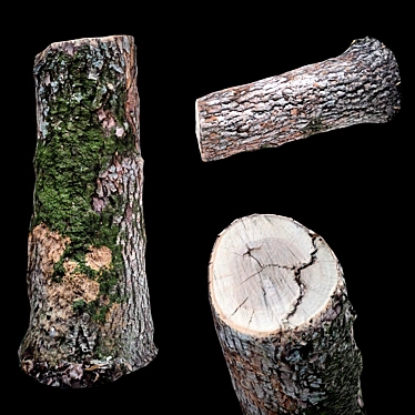Photogrammetry Stump Game-Ready Model  Photorealistic 3D Stump for Video Games 3D model image 1 