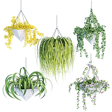 Hanging Plant Collection - Vol. 46 3D model image 1 