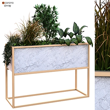 Exclusive Plant Box Set 171 3D model image 1 