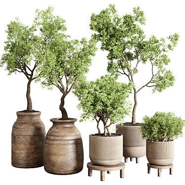 Concrete Wood Plant Collection: Vase & Tree 3D model image 1 