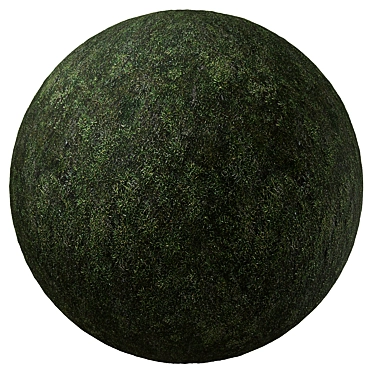 Seamless 4K Moss Texture 3D model image 1 