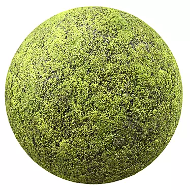 Seamless Moss Texture 3D model image 1 