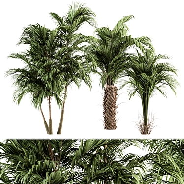 Tropical Bliss - Palm Tree Trio 3D model image 1 