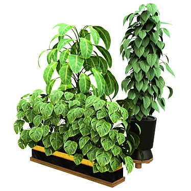 Tropical Plant Paradise: Indoor Vol. 13 3D model image 1 