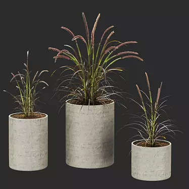 Premium Plant Collection 3D model image 1 