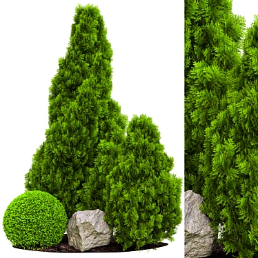 2015 Outdoor Plant Vol. 18 3D model image 1 