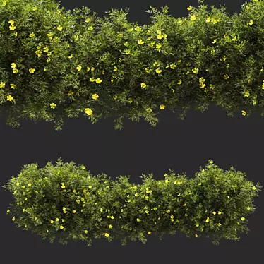 Premium Bush Plant 3D model image 1 