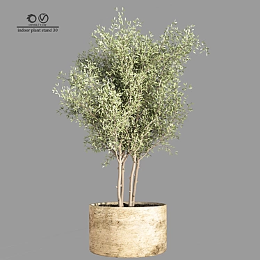 Minimalist Indoor Plant Stand 3D model image 1 