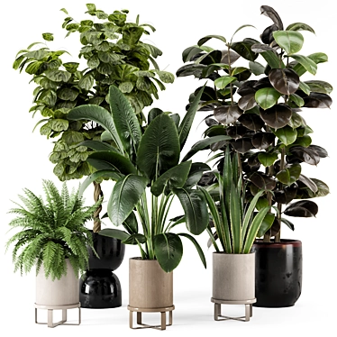 Ferm Living Bau Pot Large - Indoor Plant Set 3D model image 1 