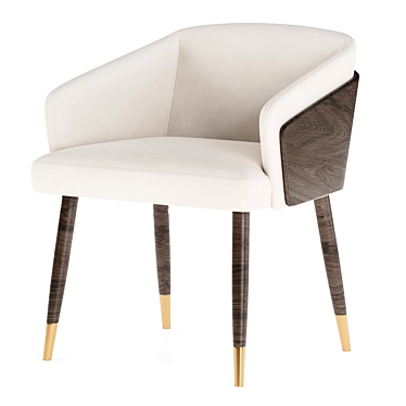 Modern Ergonomic Dining Chair 3D model image 1 