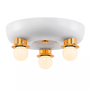 Elegant Illumination: Ceiling Lamp 3D model image 1 